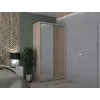 Шкаф-купе City Light 1200х450х2250 мм DZ