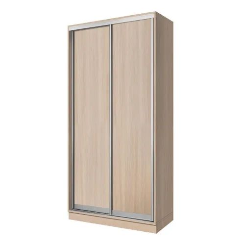 Шкаф-купе S Line ШК 2.1 1700х450х2400 мм