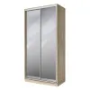 Шкаф-купе S Line ШК 2.1 1700х450х2400 мм