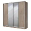 Шкаф-купе S Line ШК 4.1 2500х450х2400 мм