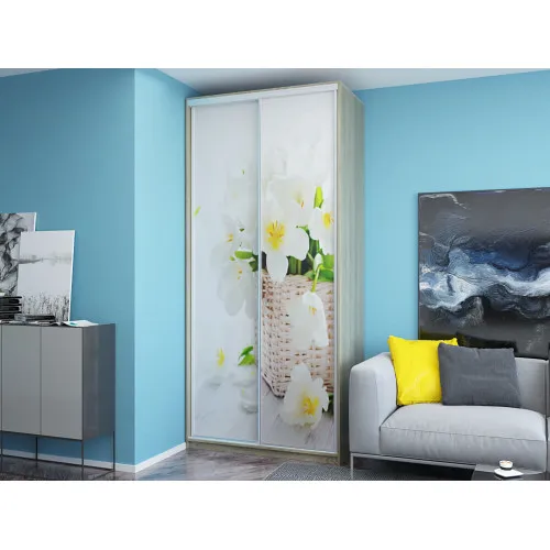 Шкаф-купе Neo 1200x450x2400 (1-6)