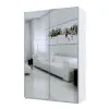Шкаф-купе Caiser 1600х600х2400 мм 2С/3Ч