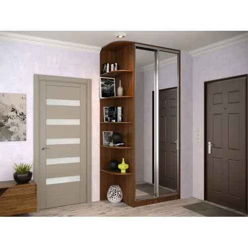 Шкаф-купе Neo 1100x450x2400 (1-1)