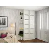 Шкаф-купе Neo 1200x450x2400 (2-1)