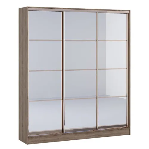 Шкаф-купе Киевский Стандарт Комби (2200х450х2400) 3Д