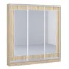 Шкаф-купе Киевский Стандарт Комби (2200х600х2400) 3Д