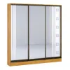 Шкаф-купе Киевский Стандарт Комби (2600х450х2400) 3Д