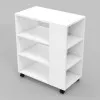 Тумба мобільна ТМ-5, Білий, 550/300/650