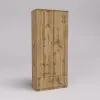 Прихожая ГКШ-5, Дуб Аппалачи, 900/430/2100