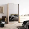 Шкаф-купе Дом В 156 (1500х600х2200)