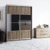 Шкаф-купе Дом В 156 (1500х600х2200)
