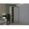 Шкаф купе Doros Сити Лайт Дуб Cонома 2 Зеркала 120х45х225 (44900068)