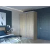 Шафа купе Doros Сіті Лайт Дуб Cонома 2 ДСП 150х60х225 (42002012)