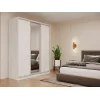 Шафа купе Doros Сіті Лайт Біле дерево 2 ДСП / 1 Дзеркало 180х60х225 (42002046)