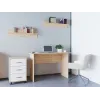 Офісний стіл Doros Т3 Дуб Cонома / Білий 120х60х78 (44900060)