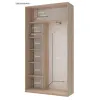 Шкаф купе Doros Сити Лайт Дуб Cонома 2 Зеркала 120х45х225 (44900068)