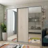 Шафа купе Doros Сіті Лайт Дуб сонома 1 ДСП / 2 Дзеркала 225х60х225 (42002136)