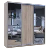 Шафа купе Doros Сіті Лайт Дуб сонома 1 ДСП / 2 Дзеркала 225х60х225 (42002136)