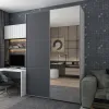 Шафа купе Doros G-Caiser Біла Графіт 1 ДСП / 1 дзеркало / 3 частини 160х60х240 (42005086)
