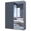Шафа купе Doros G-Caiser Графіт Графіт 1 ДСП / 1 Дзеркало 160х60х240 (42005084)