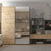 Шафа купе Doros G-Caiser Графіт Дуб Євок 1 ДСП / 1 Дзеркало 160х60х240 (42005072)