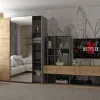 Шафа купе Doros G-Caiser Графіт Дуб Євок 1 ДСП / 1 Дзеркало 160х60х240 (42005072)