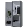 Шафа купе Doros G-Caiser Графіт 2 Дзеркала / 3 частини 160х60х240 (42005021)