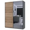 Шафа купе Doros G-Caiser Графіт / Дуб Евок 1 ДСП / 1 дзеркало / 3 частини 180х60х240 (42005013)