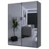 Шафа купе Doros G-Caiser Графіт 2 Дзеркала 180х60х240 (42005012)