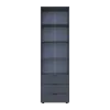 Пенал для одягу Doros Гелар Графіт 3Ш 60х49.5х203.4 (41516132)