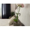 Матрац Memory Lux GOLD