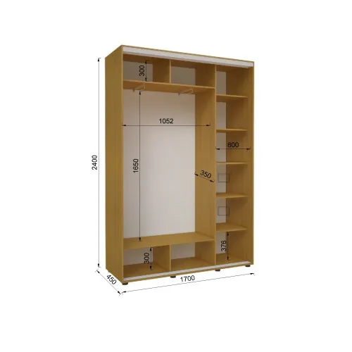 Шкаф-купе Эконом №23 D-450 ДСП 1700х450х2400 мм