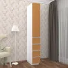 Шафа розпашна HOLD №28 30x55x220 см
