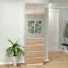 Шафа розпашна HOLD №9d 60x38x220 см