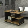 Журнальный стол Тандем Дуб Апалачи 750x500x520