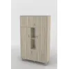 Шафа ШС-118