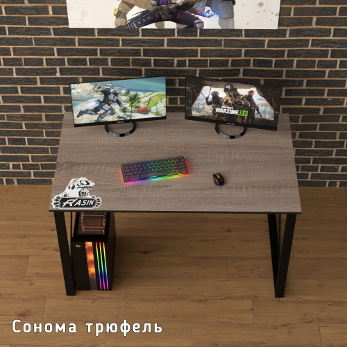 Геймерский игровой стол Rasin LOFT-21