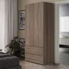 Шкаф распашной двухдверный Люкс (80х45х240 см)