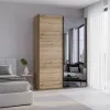 Шкаф купе G-Caiser Дуб Евок 1 ДСП / 1 зеркало 180х60х240 (80737749)