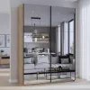 Шкаф купе G-Caiser Дуб Эвок 2 Зеркала / 3 части 180х60х240 (80737752)