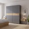 Шафа купе G-Caiser Графіт/Графіт вставка Дуб Евок 2 ДСП /5 частин 220х60х240 (44900285)
