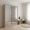 Шкаф-купе двухдверный 1700х600х2400 мм Кашемир Зеркало EШК 2.3.24.60.17.1