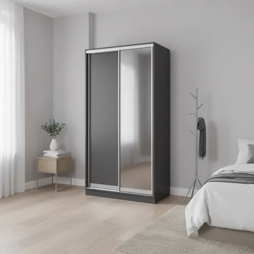 Шкаф-купе E Line ШК 2.1 1700х450х2400 мм