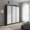 Шкаф-купе трехдверный 1900х450х2100 мм АнтрацитДСП белый EШК 3.1.21.45.19
