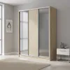 Шкаф-купе трехдверный 1900х600х2400 мм Дуб Сонома ДСП + Зеркало EШК 3.3.24.60.19