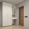Шафа розпашна ШР3 250х100х60 см ШР3.25.60.10.ФР