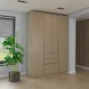 Шкаф распашной ШР9 250х160х60 см ШР9.25.60.16.ФР