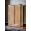 Шафа-купе дводверна SENAM E-Line 1700×600×2400 мм Дуб Крафт Золотий ДСП EШК 2.3.24.60.17