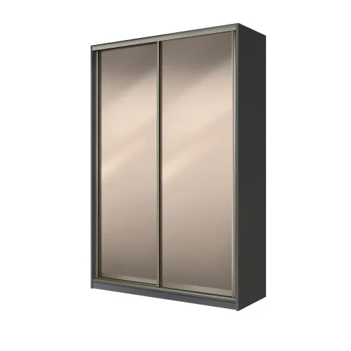 Шафа-купе дводверна SENAM E-Line 1700×600×2700 мм Антрацит Дзеркало EШК 2.3.27.60.17