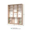 Шафа-купе тридверна SENAM E-Line 2000×450×2400 мм Антрацит Дзеркало EШК 3.3.24.45.20
